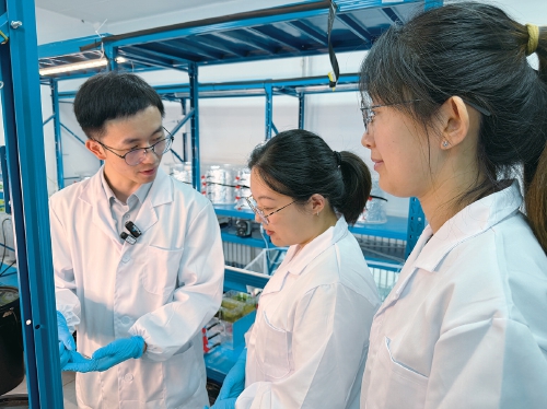 挨过一次极寒冰冻，矿物会记忆终身 研究颠覆全球学界固有认知 山师科学家发现“冻结”的真相