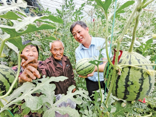 花饽饽“出圈”拓富路，初心暖民兴乡村——驻村第一书记屈国涛兴产业、拓销路、助振兴