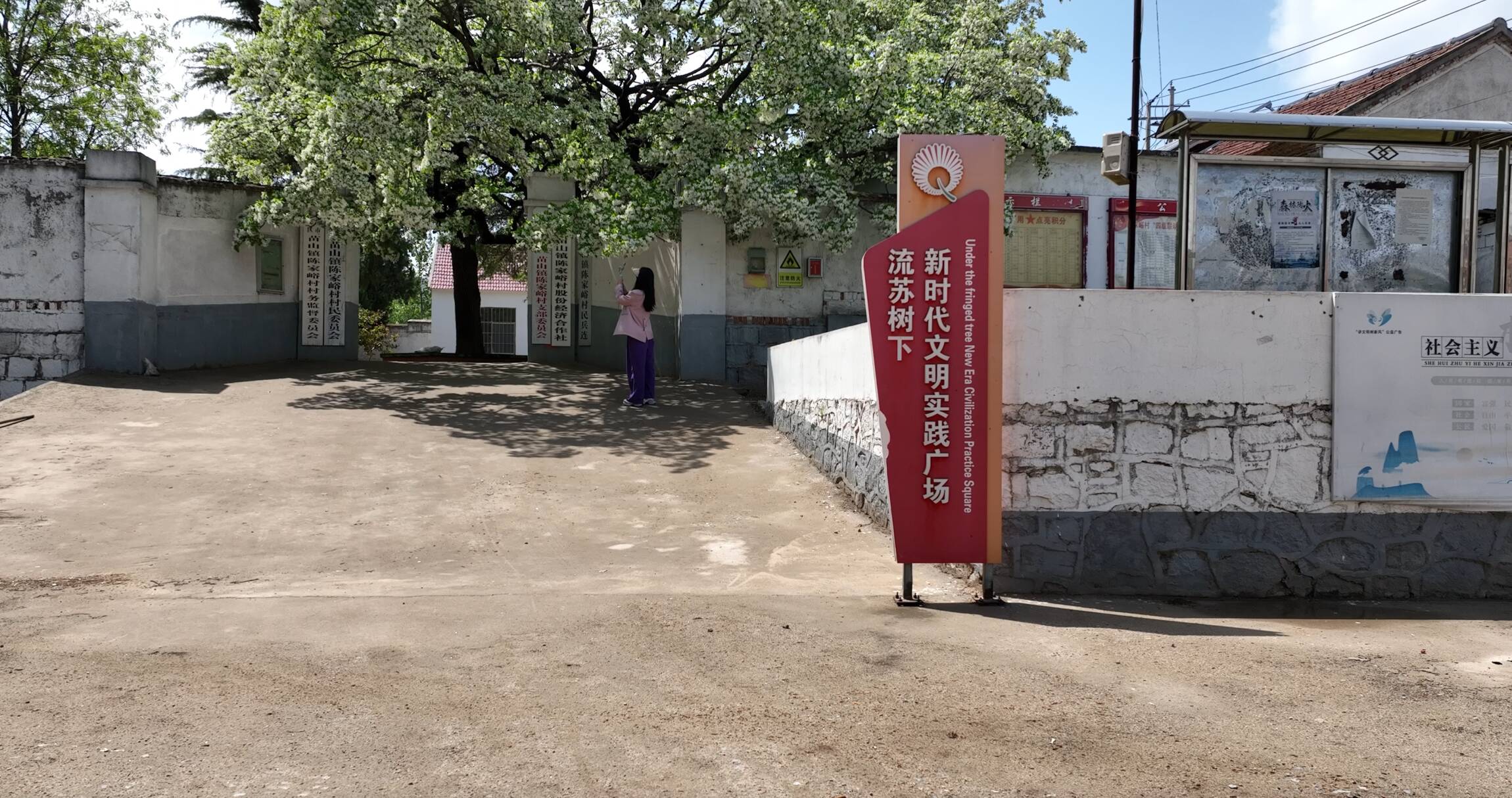融媒·先锋丨从“四姓之家”到“百岁之约”——善满苗山