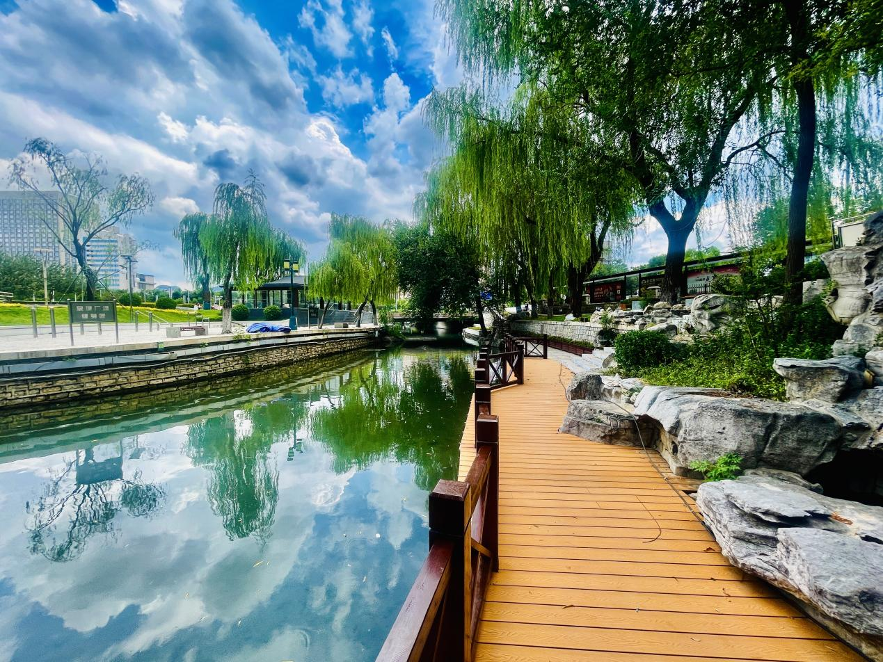 融媒·见证｜老河道换了新模样，新办法破了老难题——这河清水，真美!