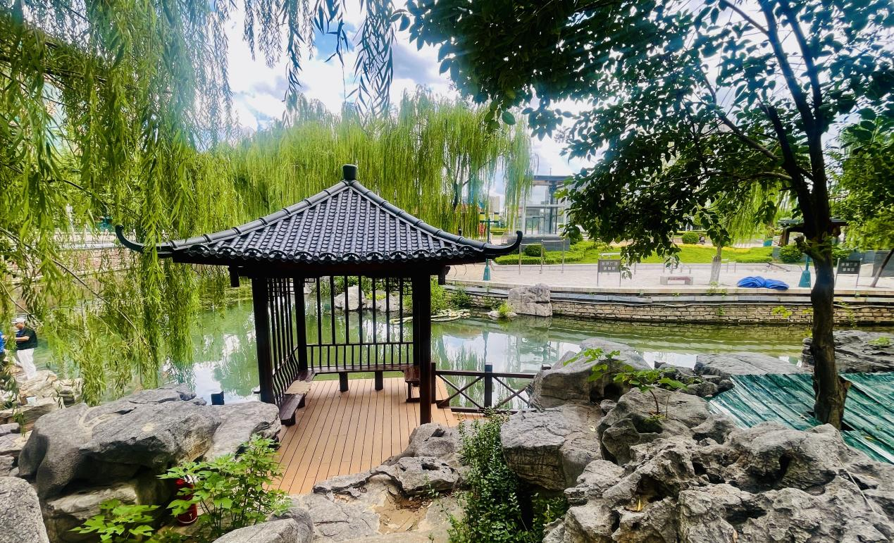 融媒·见证｜老河道换了新模样，新办法破了老难题——这河清水，真美!