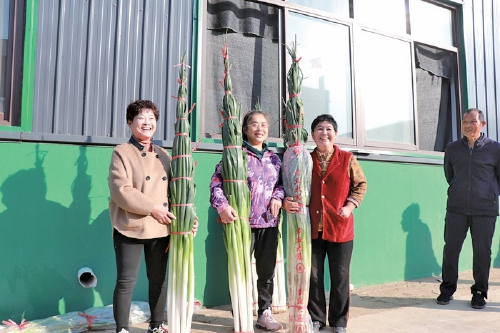 泥土里长出“流量之花” 章丘小桑村新农人的逆袭之路