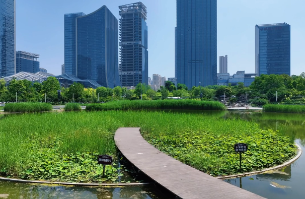 同心聚力谱华章 携手奋进强省会——济南市各民主党派、市工商联五年履职成就回眸