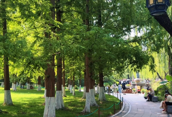 暑期旅游市场正火热，莫让不文明行为煞风景
