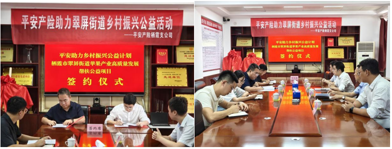 党建引领政企同心 金融赋能苹果产业--平安产险栖霞支公司爱心捐赠助力乡村振兴签约