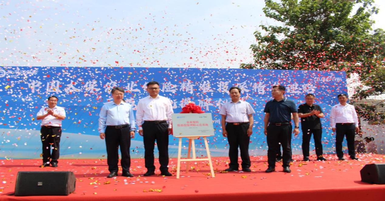 中国太保产险山东分公司:书写金融“五篇大文章” 以“三心”服务绘就保险为民齐鲁画卷