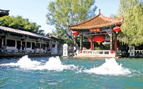 视觉｜泉涌廿三载 脉动济南城
