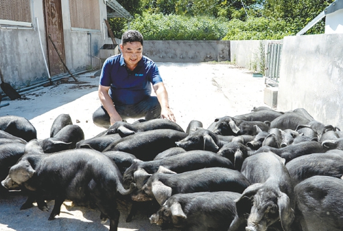 我们村的新农人 