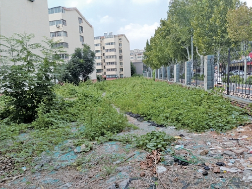 荒地“变形记” 历城区东风街道百花小区微改造暖了居民心