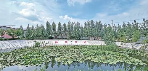 章丘：精雕细琢绘就宜居宜业和美乡村新画卷