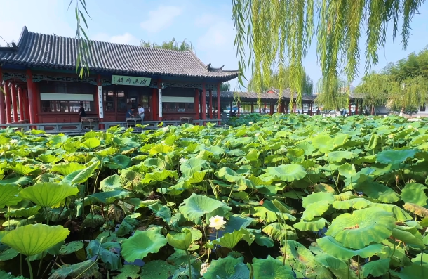 济南：本周天气以多云到晴为主 周日最高气温预计达33℃