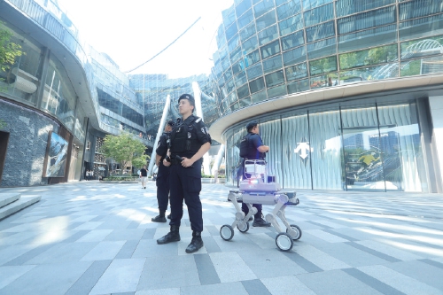 济南特巡警 警力前置护“双节”