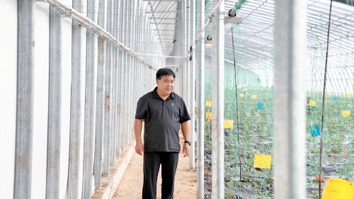接过兄长担子,带领合作社累计分红超600万元 陈明新:把乡亲们的日子种出甜头来