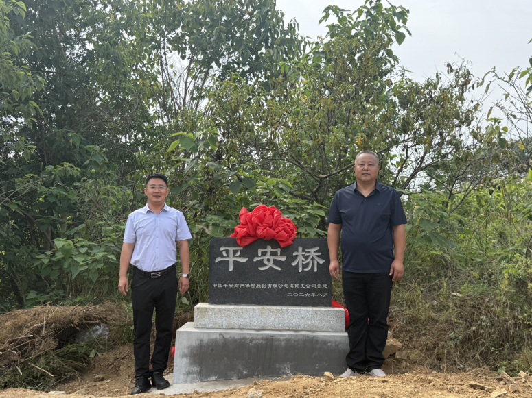 平安产险海阳支公司乡风文明100行动走进郭城镇阵胜村 “平安桥”投入使用