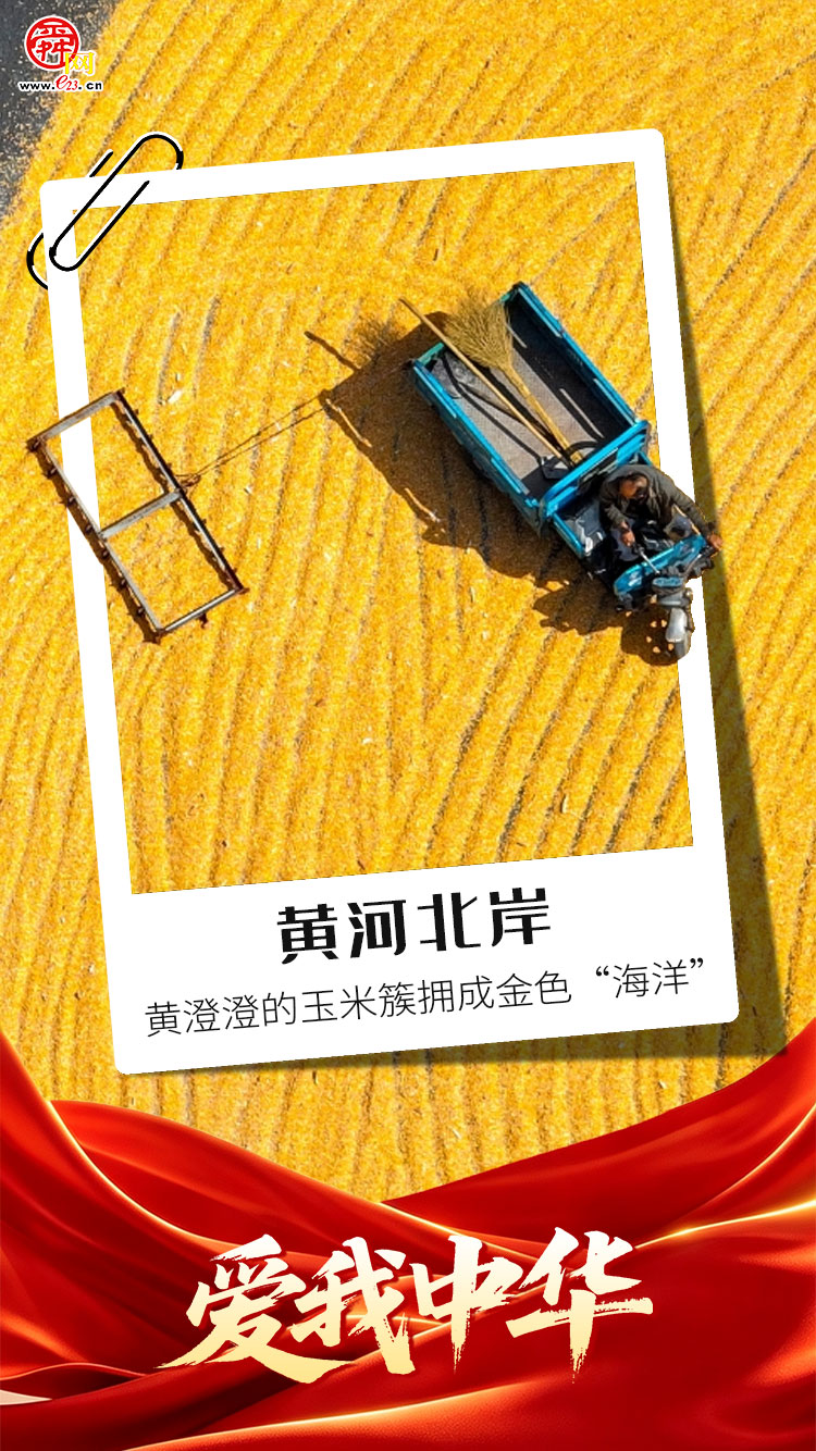 海报合集丨祝福祖国 繁荣昌盛