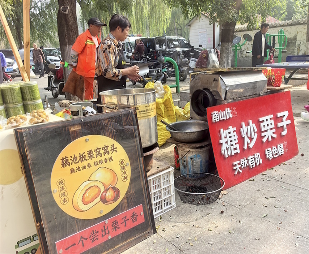 西营第二届板栗音乐汇开幕,五条主题线路邀您“入山过节”