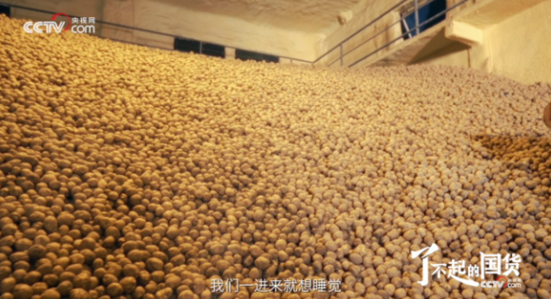 从“国民薯片”到透明工厂：央视镜头验证可比克全链路品质