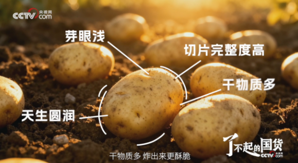 从“国民薯片”到透明工厂：央视镜头验证可比克全链路品质