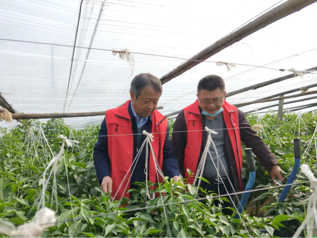 数智润沂蒙 电信助振兴 中国电信临沂分公司绘就老区乡村振兴新图景