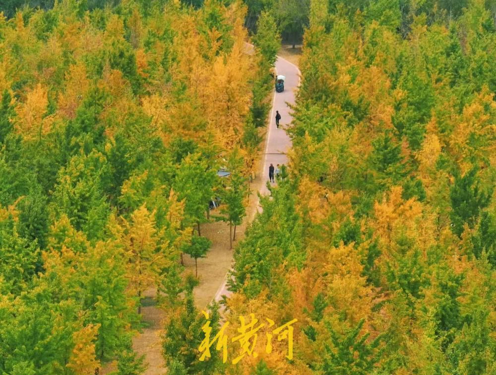 降温+霜冻，济南迎降温天气，20日至22日降幅6-8℃
