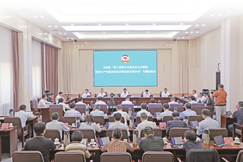 深入贯彻全市服务业大会精神 发挥生产性服务业经济增长新引擎作用——市政协专题协商会发言摘登