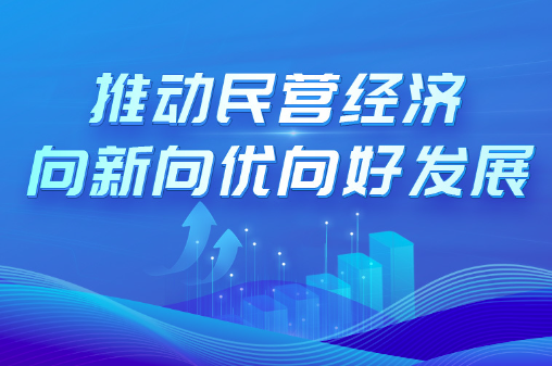 推动民营经济向新向优向好发展