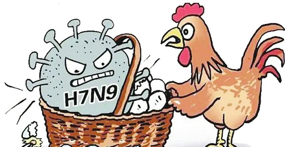 山东近期发现两例病例 做好这些防控措施h7n9不可怕