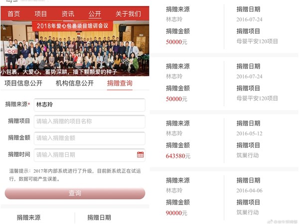 竟如此低调！林志玲捐款记录 “筑巢行动”单笔金额高达5000万