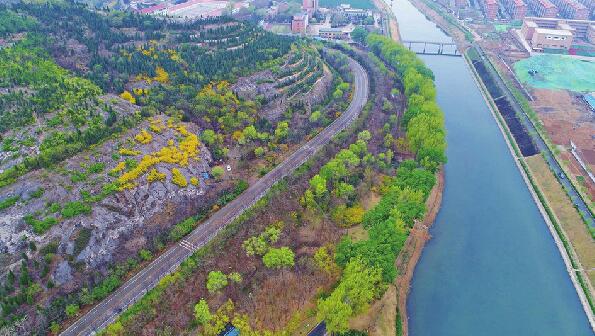 八成山体已绿化济南处处好风光
