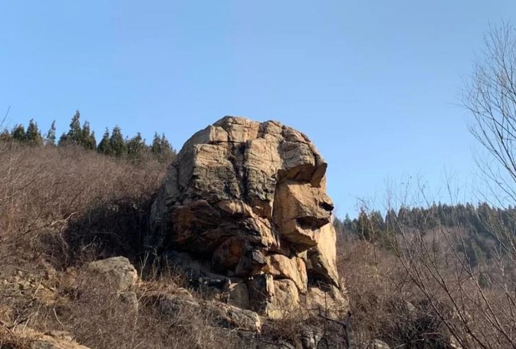 南山"石猿"成网红 西营街道提醒大家文明打卡.