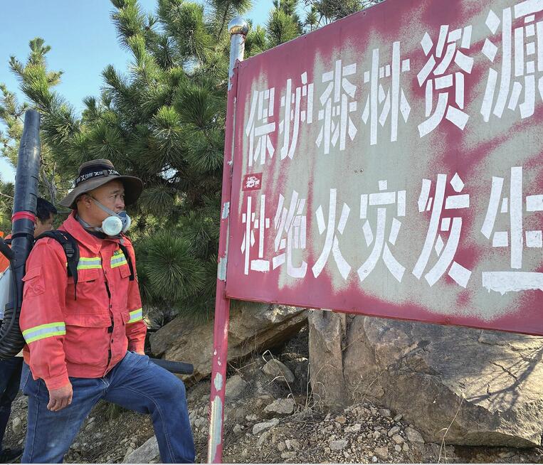 【森林防火 人人有责】护林员柳志明：守好青山就是我的责任
