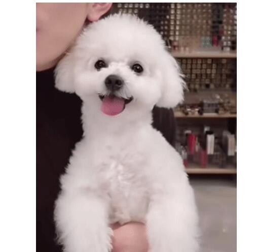 博主爆料：李佳琦抽烟被拍 网友：网红不是爱豆，不要乱立人设