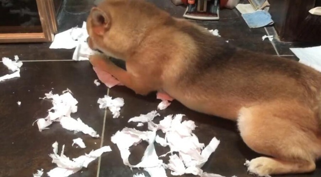 这是个没得感情的吃饭机器!王珞丹问瓢哥能退货吗