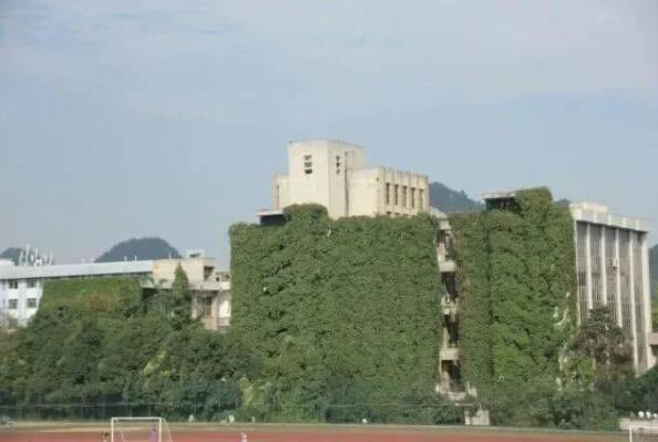 贵阳高校爬山虎占领9层图书馆是怎么回事？终于真相了，原来是这样！