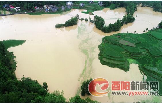 【最新情况】酉阳遭受最大降雨 河流出现超警戒水位洪水