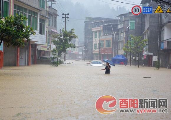 【最新情况】酉阳遭受最大降雨 河流出现超警戒水位洪水