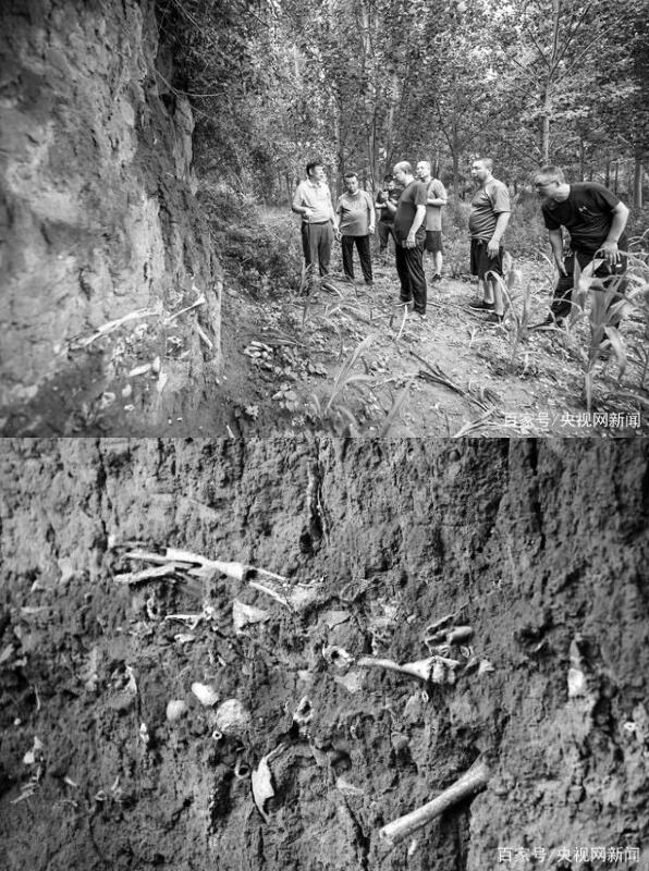 山西高平发现疑似长平之战尸骨坑 已经发酥的尸骨随处可见