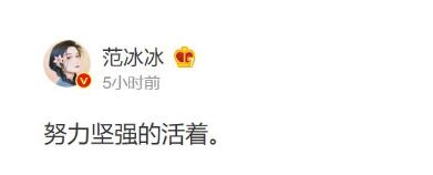 %title插图%num 范冰冰突然发文:努力坚强的活着-WordPress极简博客