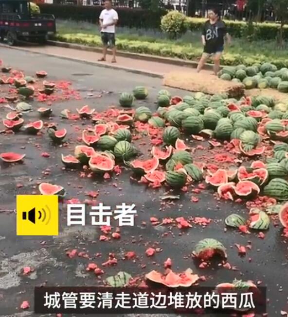 这一地的碎西瓜心疼什么情况?