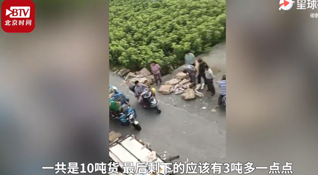 %title插图%num 10吨猪肉翻车遭哄抢 市委致歉-WordPress极简博客