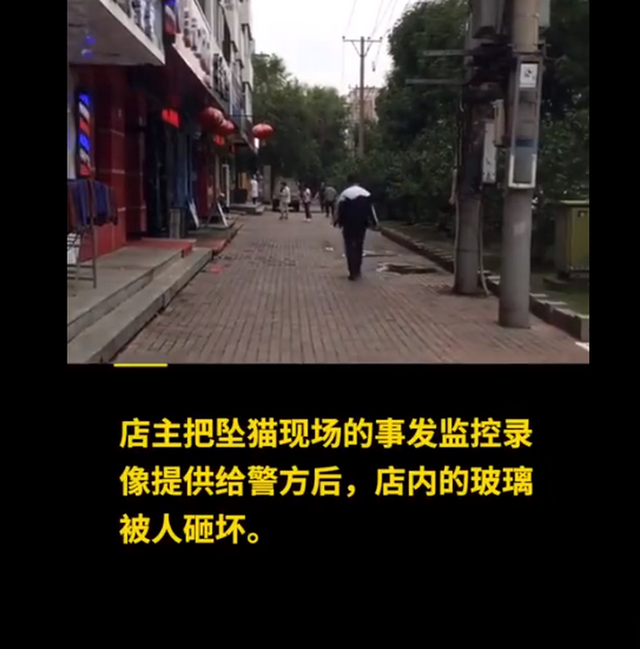 有人报复?提供坠猫砸人视频老板玻璃被砸 事件详情始末