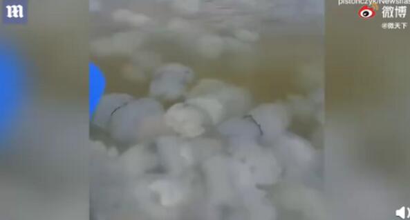 画面震撼!乌克兰巨大水母群覆盖海面 网友：密