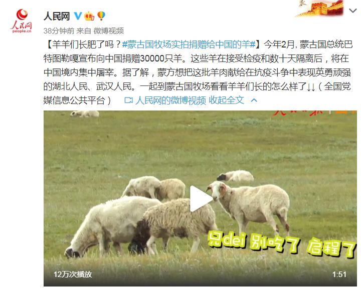 启程了！实拍蒙古国牧场捐赠给中国的羊 30000只羊将在中国境内集中屠宰
