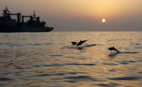 【罕见】海豚群伴航人民海军护航军舰 亚丁湾上的这一幕太美啦！