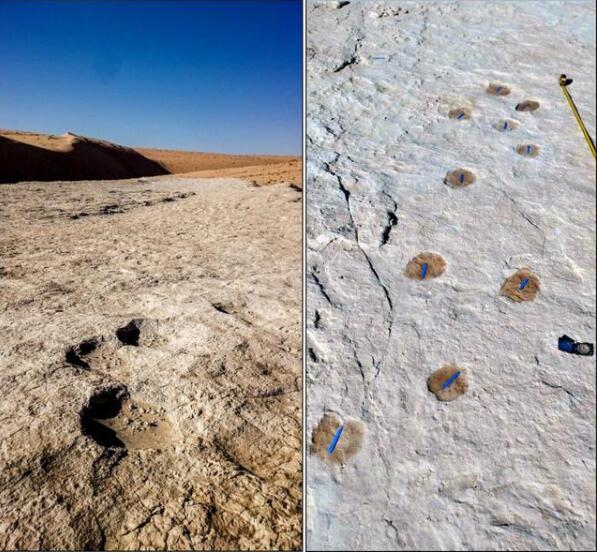 重大发现！沙特发现距今12万年前的人类脚印
