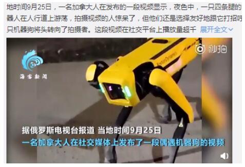 风骚走位！机器狗夜晚独自在街头游荡 整条街上最靓的崽