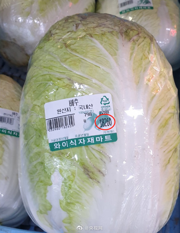 韩国大白菜涨价至62元一棵  网友：“金菜，吃钻石吗？”
