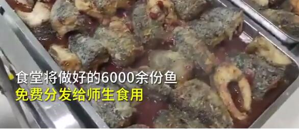 别人家学校！高校备6000份鱼请师生免费吃上热搜