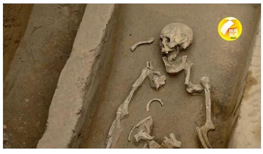 咋回事?陕西寨山遗址发现多处活人殉葬墓 到底发生了什么?