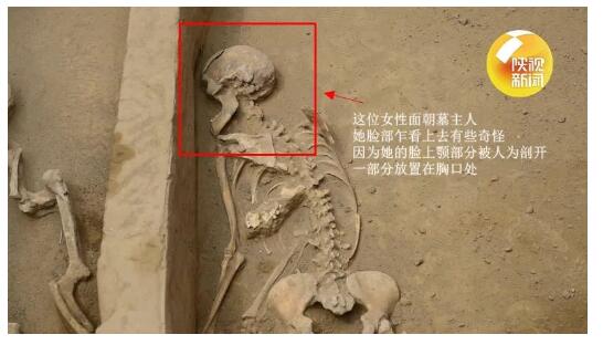 咋回事?陕西寨山遗址发现多处活人殉葬墓 到底发生了什么?